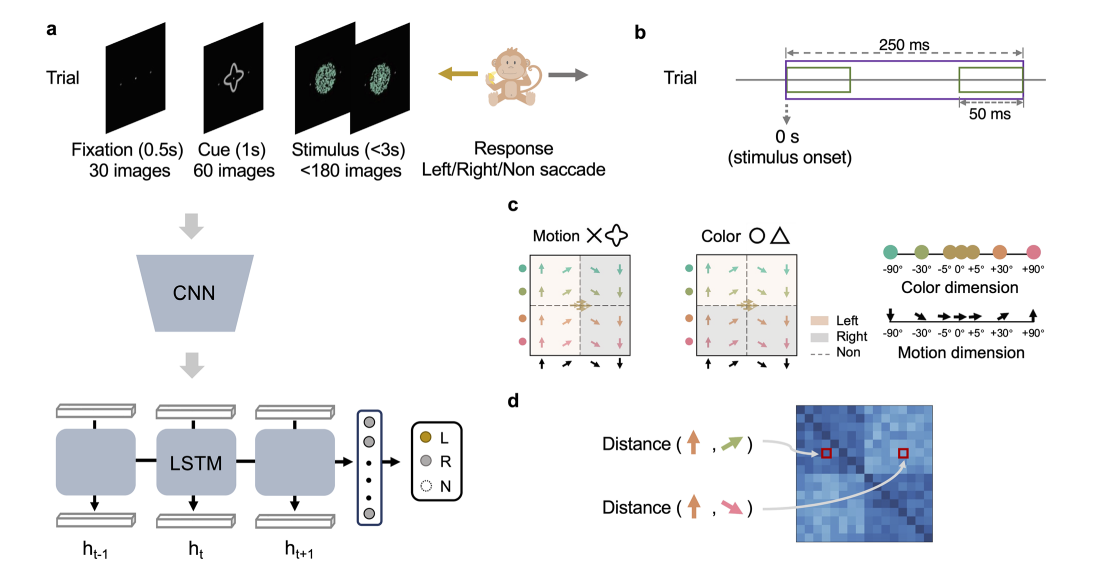 Adaptive Stretching of Representations Across Brain Regions and Deep Learning Model Layers