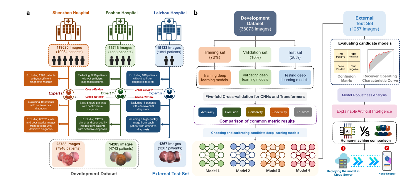 A deep learning based smartphone application for early detection of nasopharyngeal carcinoma using endoscopic images